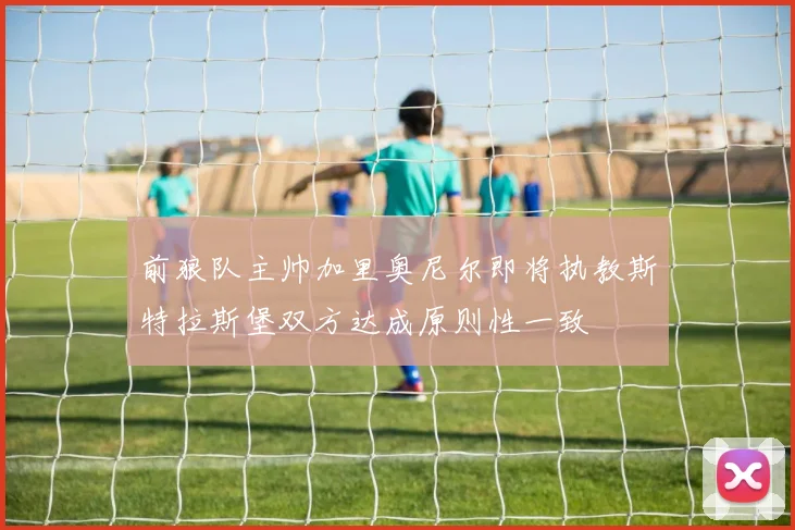 前狼队主帅加里奥尼尔即将执教斯特拉斯堡双方达成原则性一致