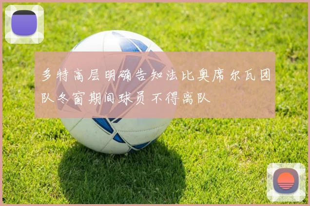 多特高层明确告知法比奥席尔瓦团队冬窗期间球员不得离队