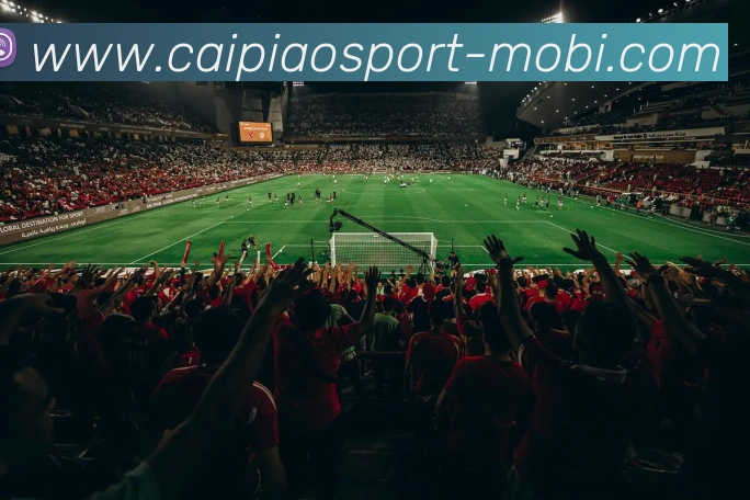 大发彩票服务体系